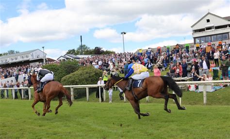 Hexham Races Live Streaming .